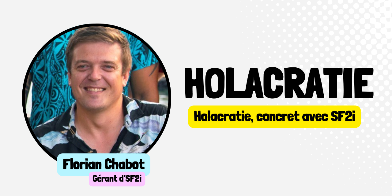 Vignettes article site 2 (3) Holacratie