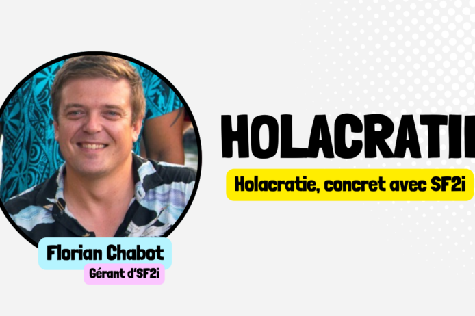 Vignettes article site 2 (3) Holacratie