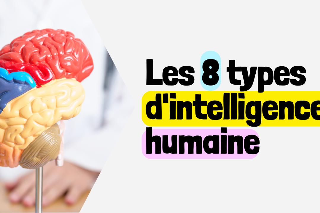 Les 8 types d'intelligence humaine Selon Howard Gardner,