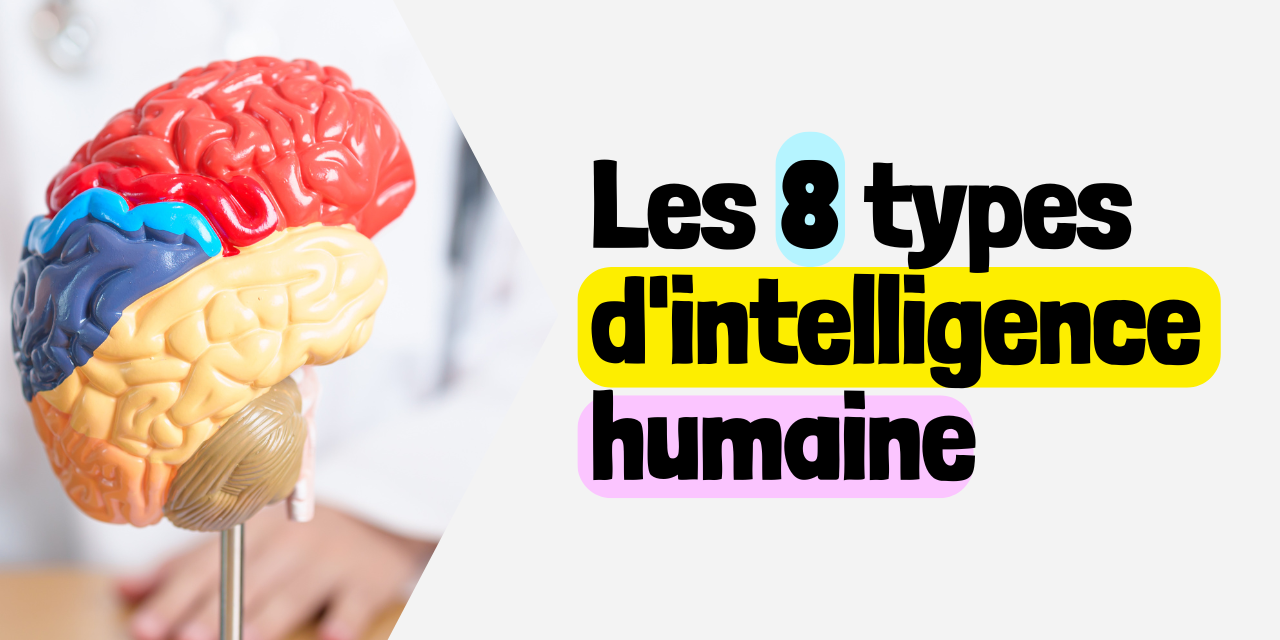 Les 8 types d'intelligence humaine Selon Howard Gardner,