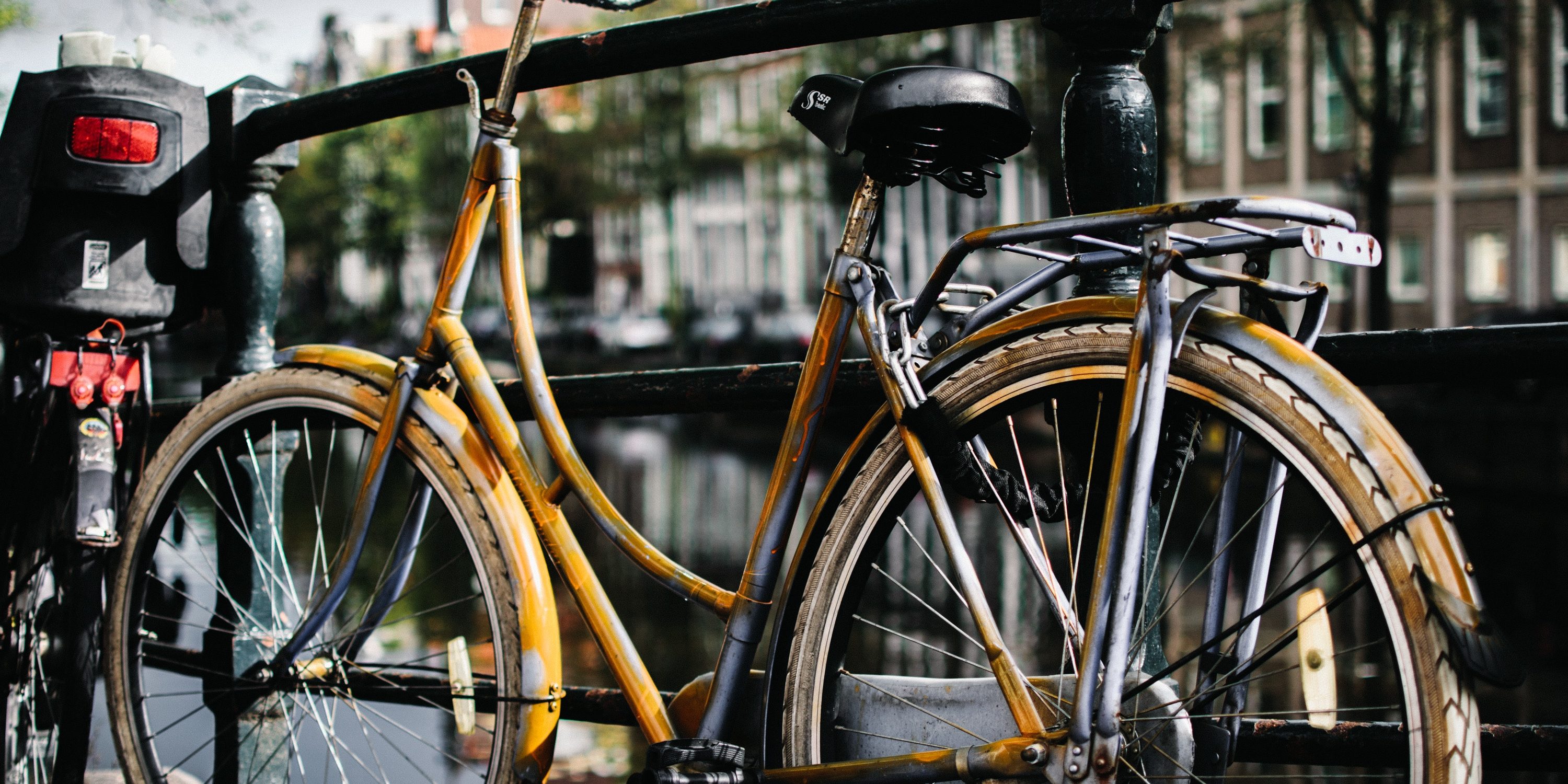 janis-skribans-430566-unsplash Pays-Bas