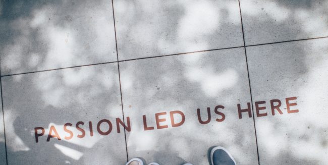 parcours professionnel