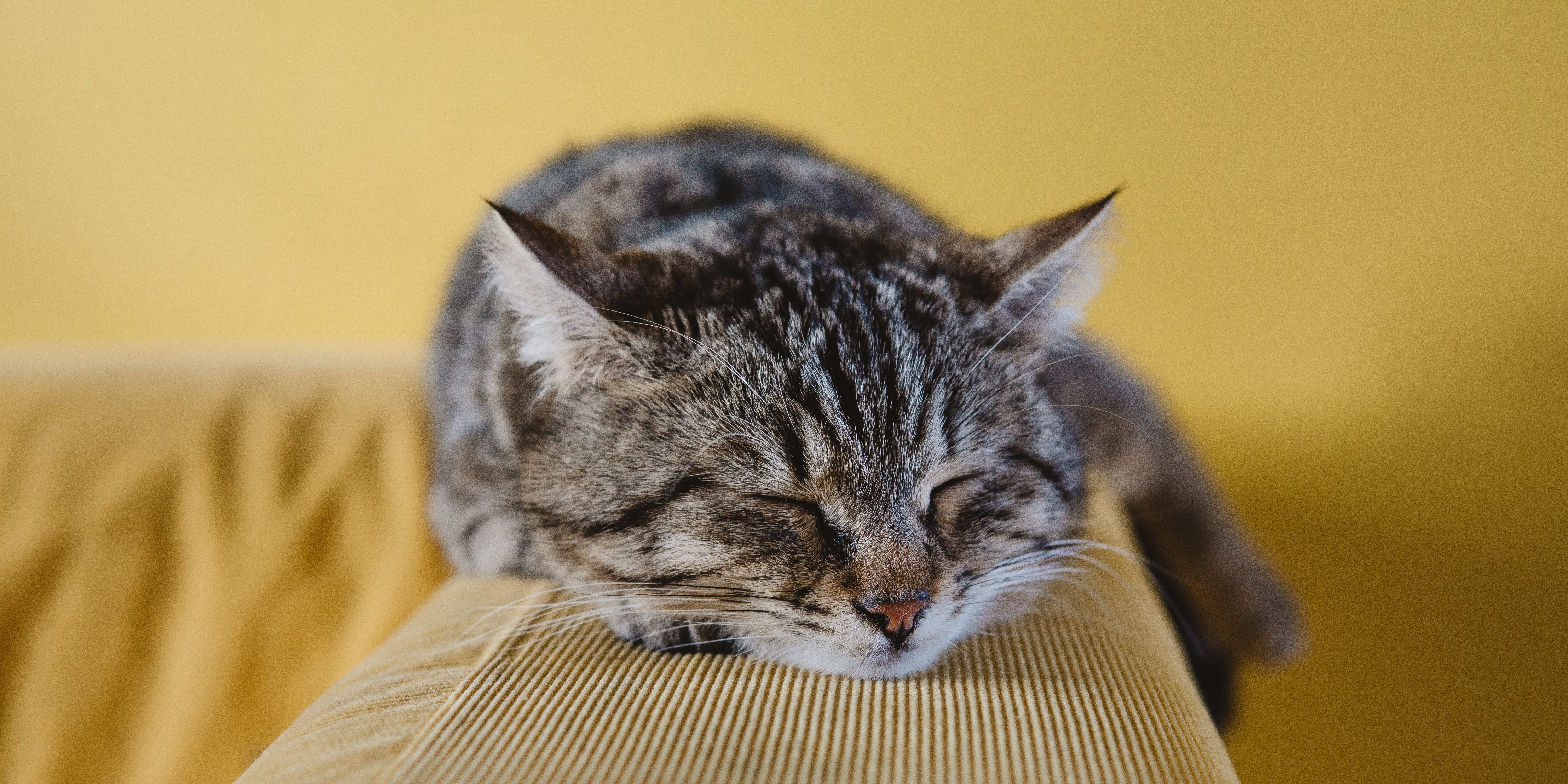 sabri-tuzcu-KHBvwAnWFmc-unsplash