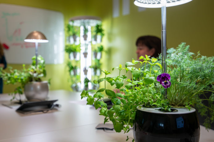 DSC05457-7258×3629 (1)