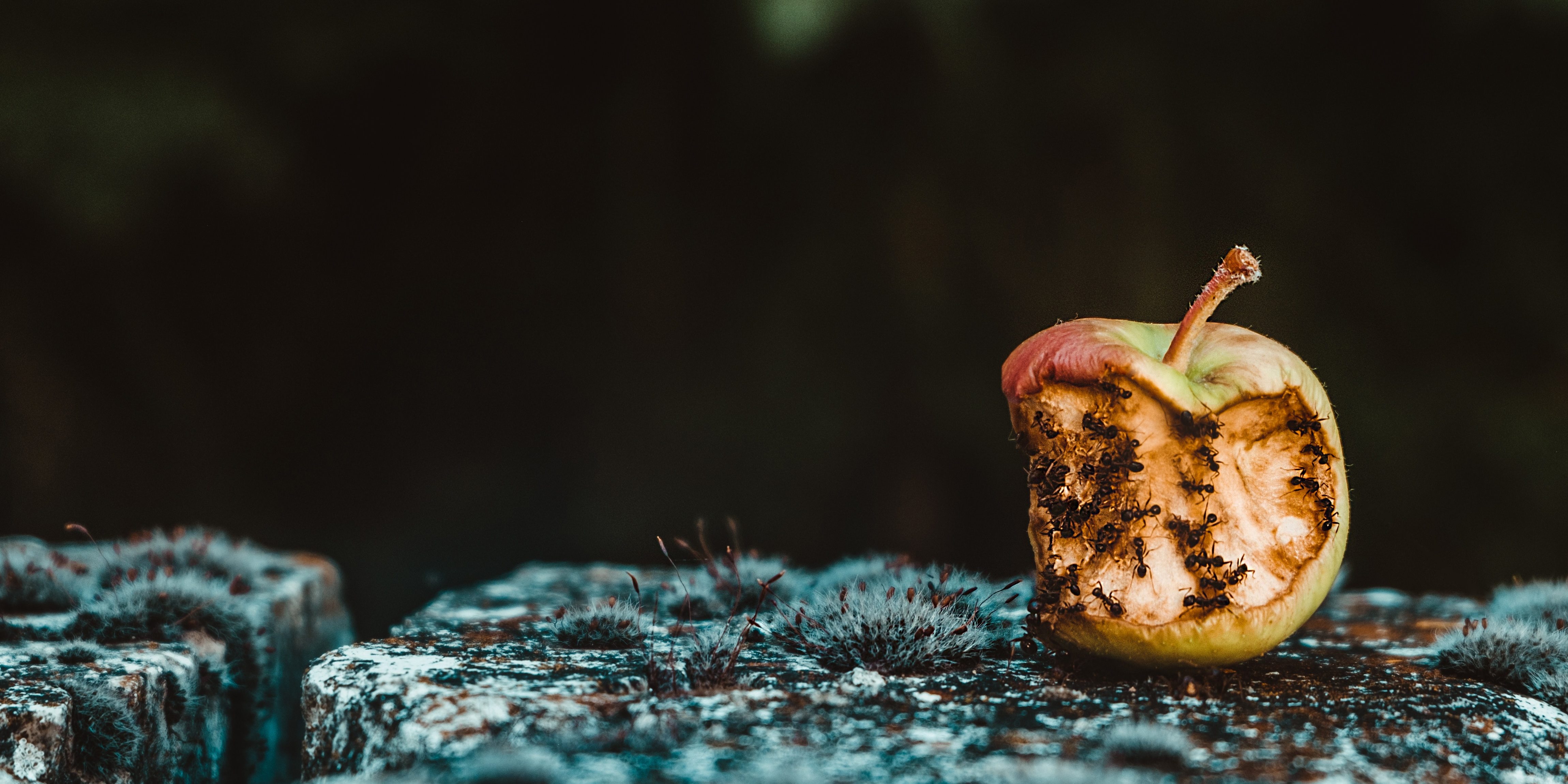 maria-teneva-vf4O1OwtPnk-unsplash