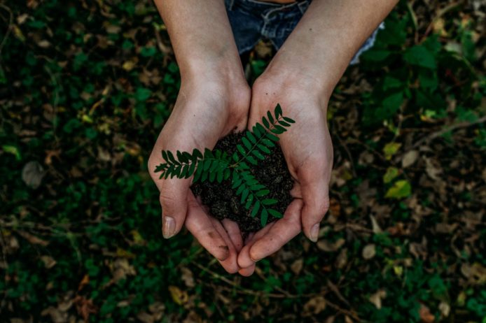 noah-buscher-x8ZStukS2PM-unsplash (1)