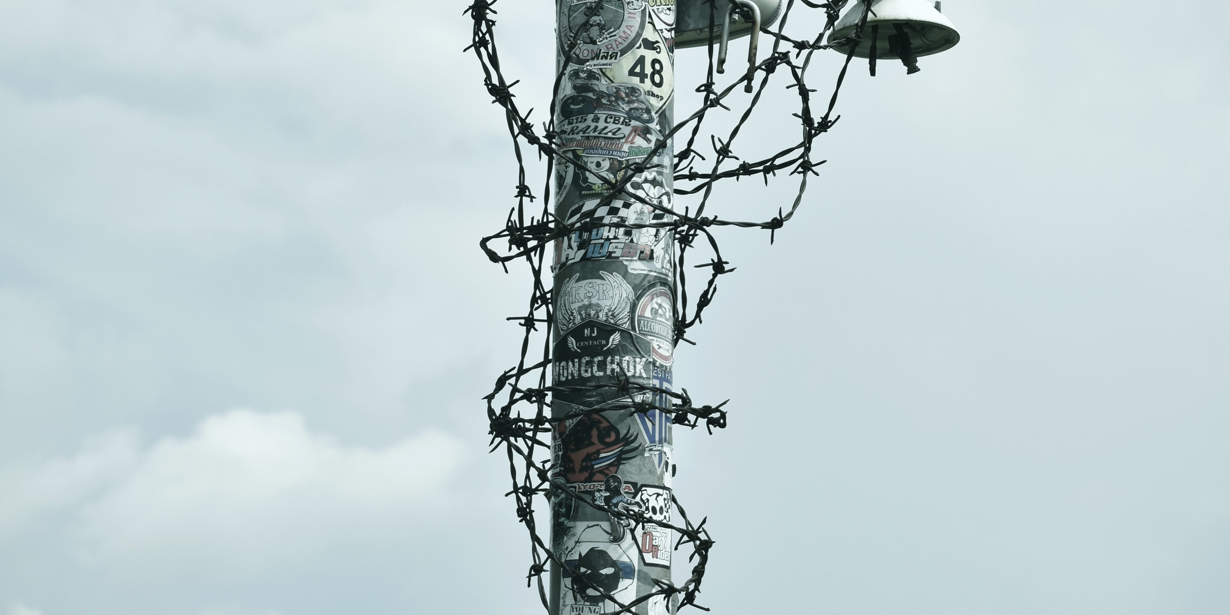 duangphorPhoto by Duangphorn Wiriya on Unsplashn-wiriya-H1ACyyDMVEY-unsplash Photo by Duangphorn Wiriya on Unsplash