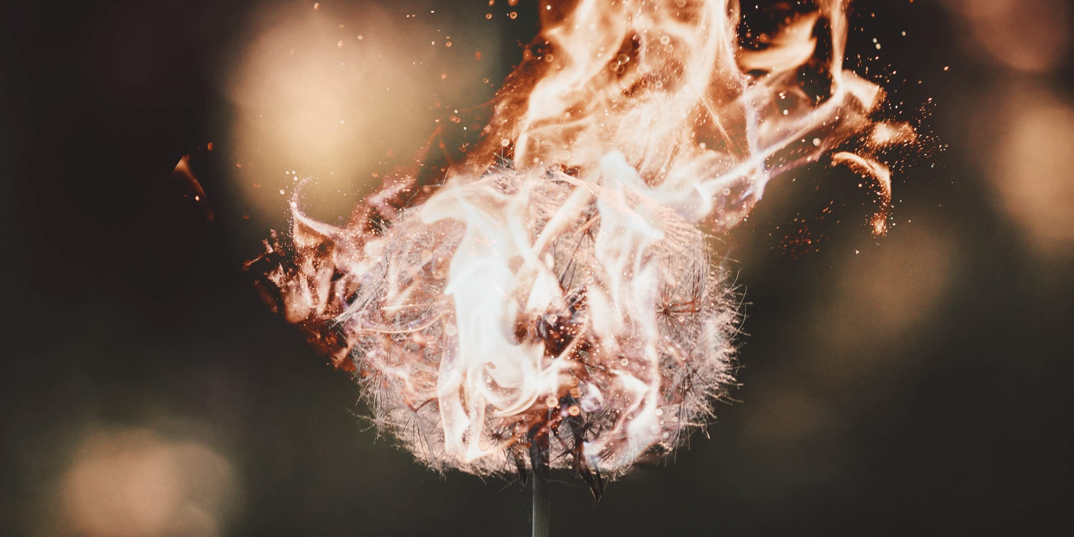 adrian-swancar-K5dSAeM0ycc-unsplash