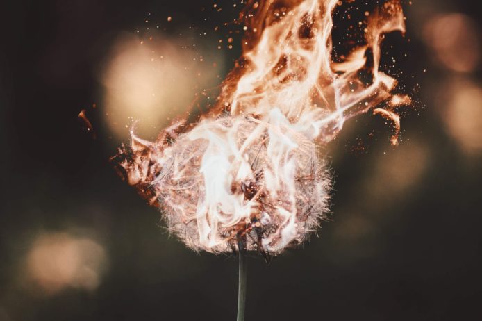 adrian-swancar-K5dSAeM0ycc-unsplash