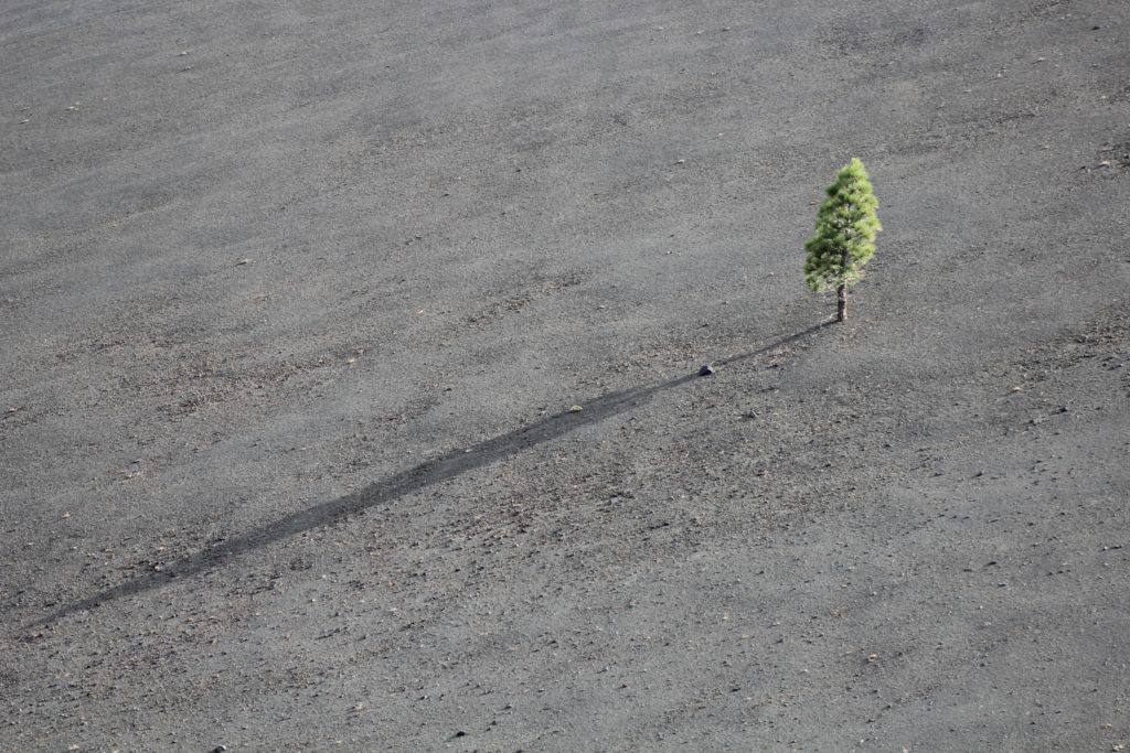 Et La Solitude Dans Tout ça ? - LOptimisme.pro