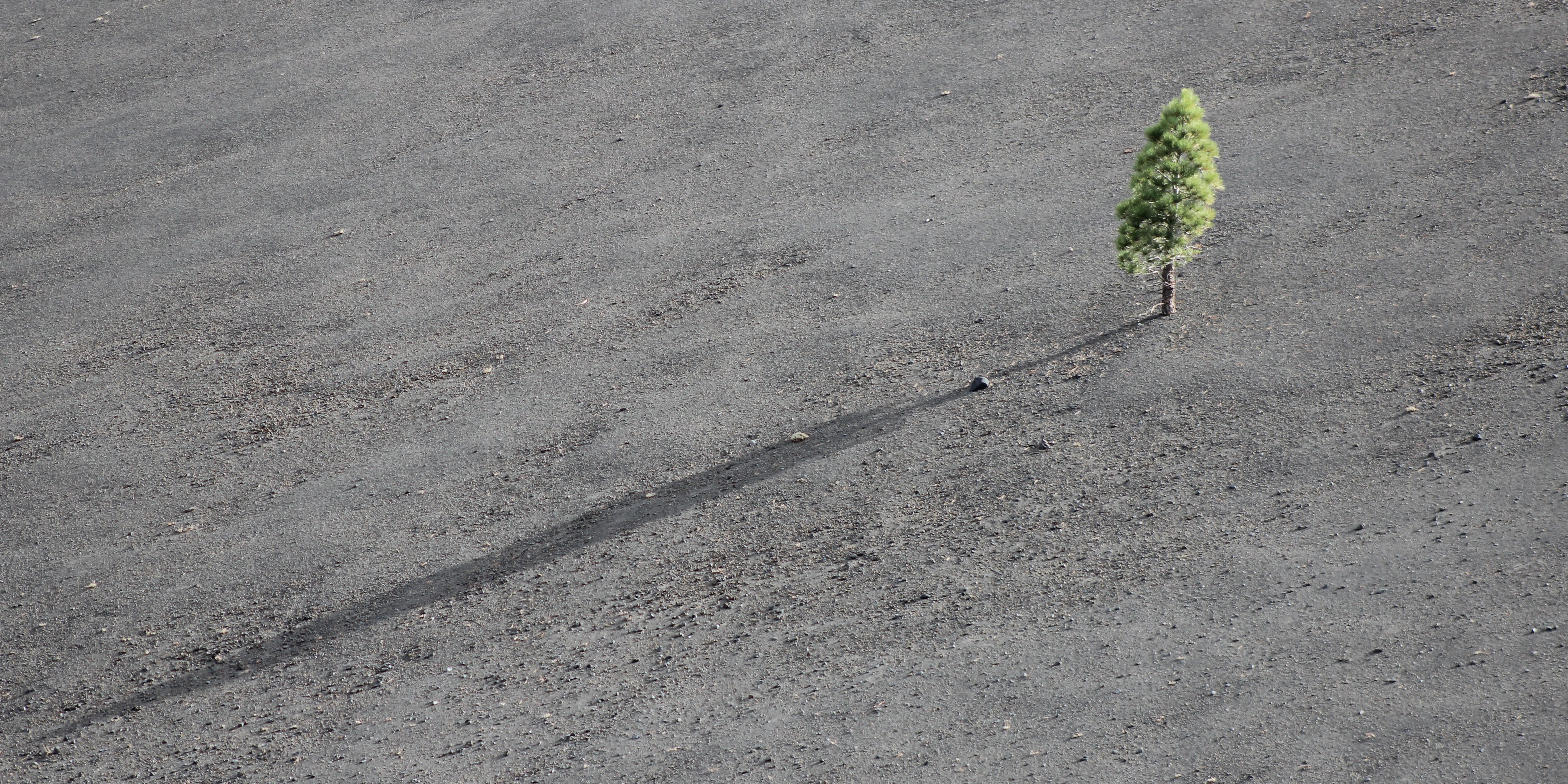 lucas-myers-R7fCIPAgrE4-unsplash