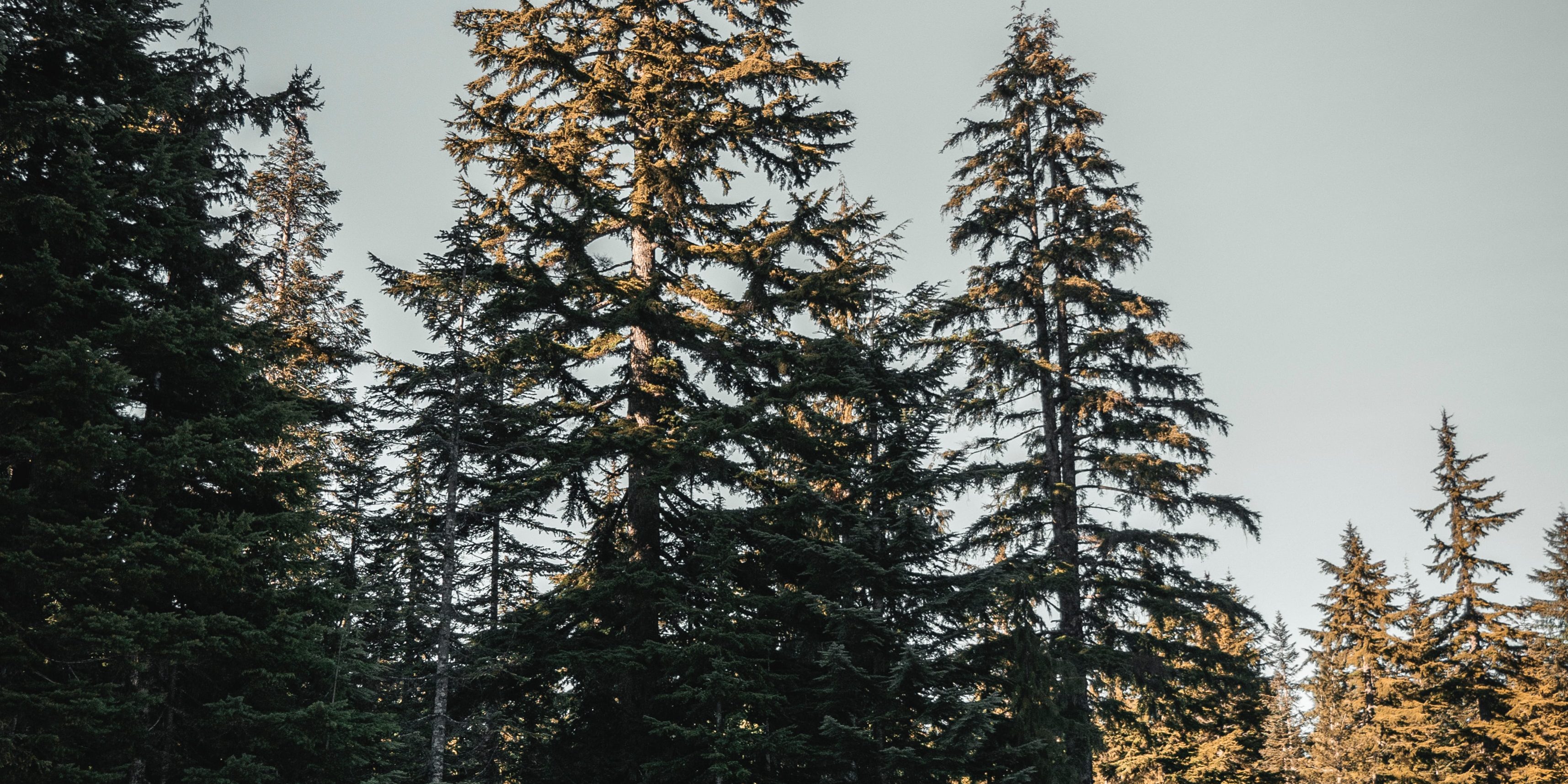 yann-allegre-U0Khpm4p8jU-unsplash