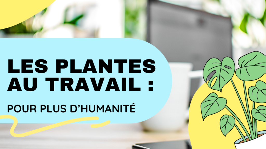 Les plantes au travail pour plus d'humanité