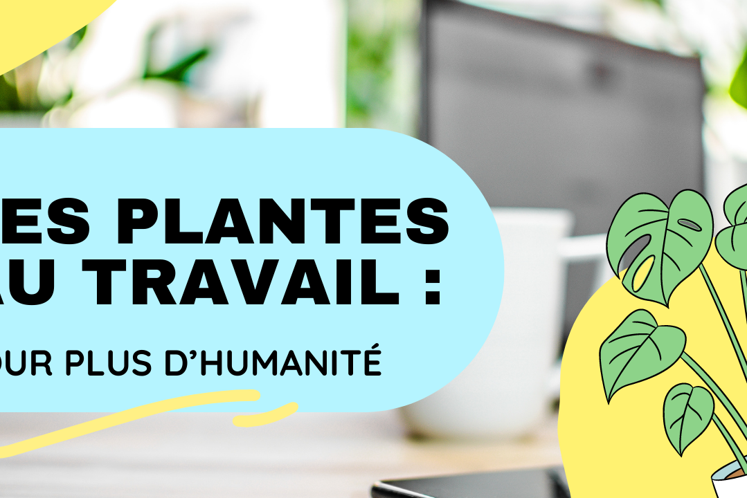 Les plantes au travail pour plus d'humanité