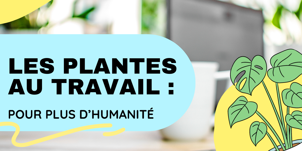 Vignettes article site 2 (3) Les plantes au travail pour plus d'humanité