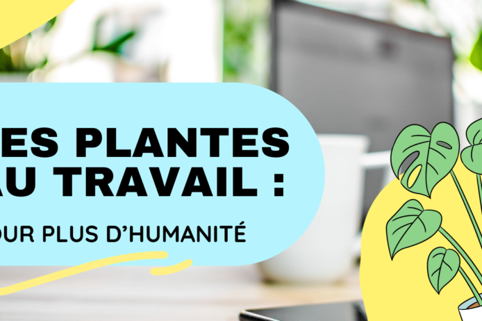 Vignettes article site 2 (3) Les plantes au travail pour plus d'humanité