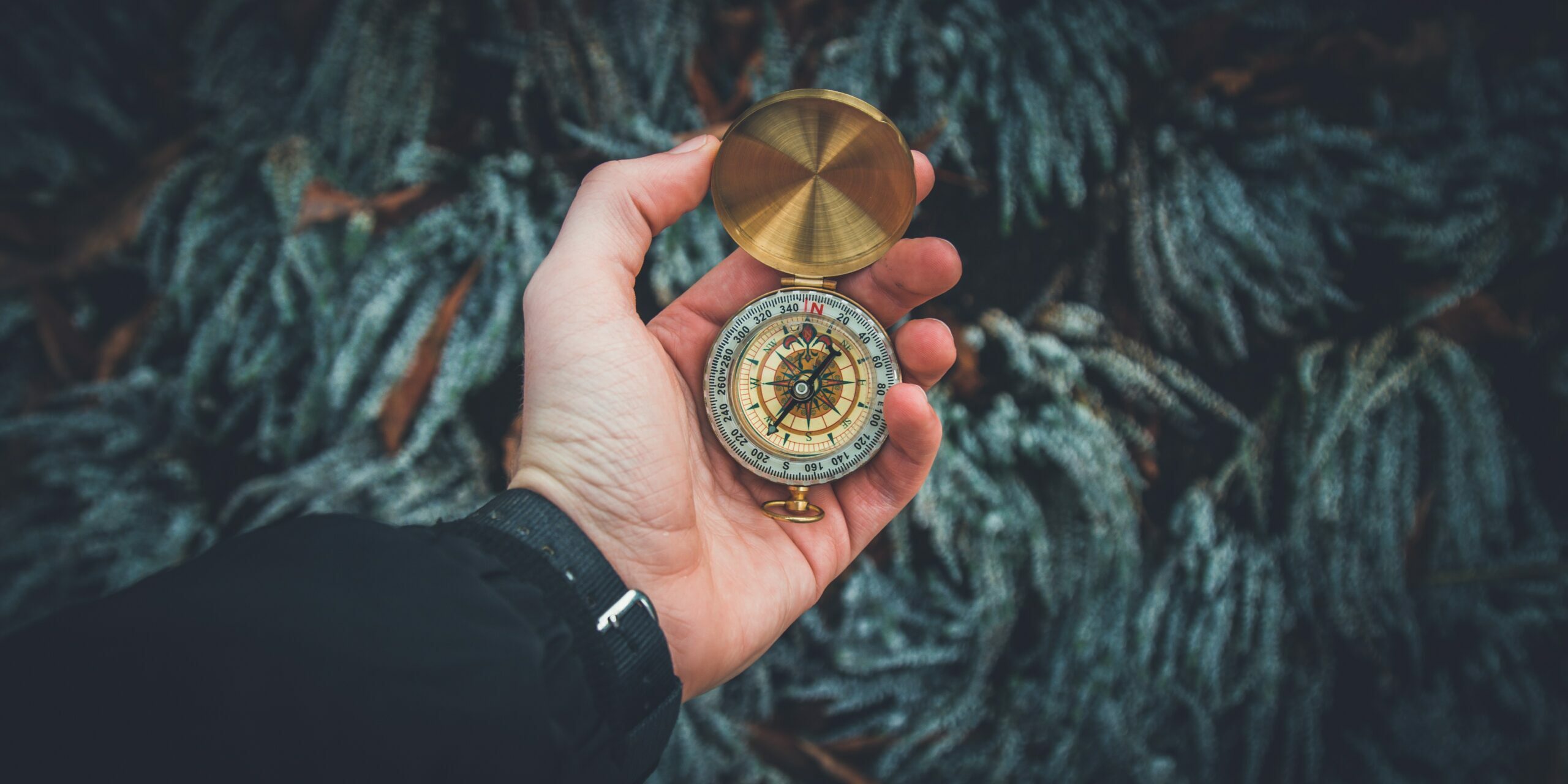 valentin-antonucci-LTgTfES5hBI-unsplash