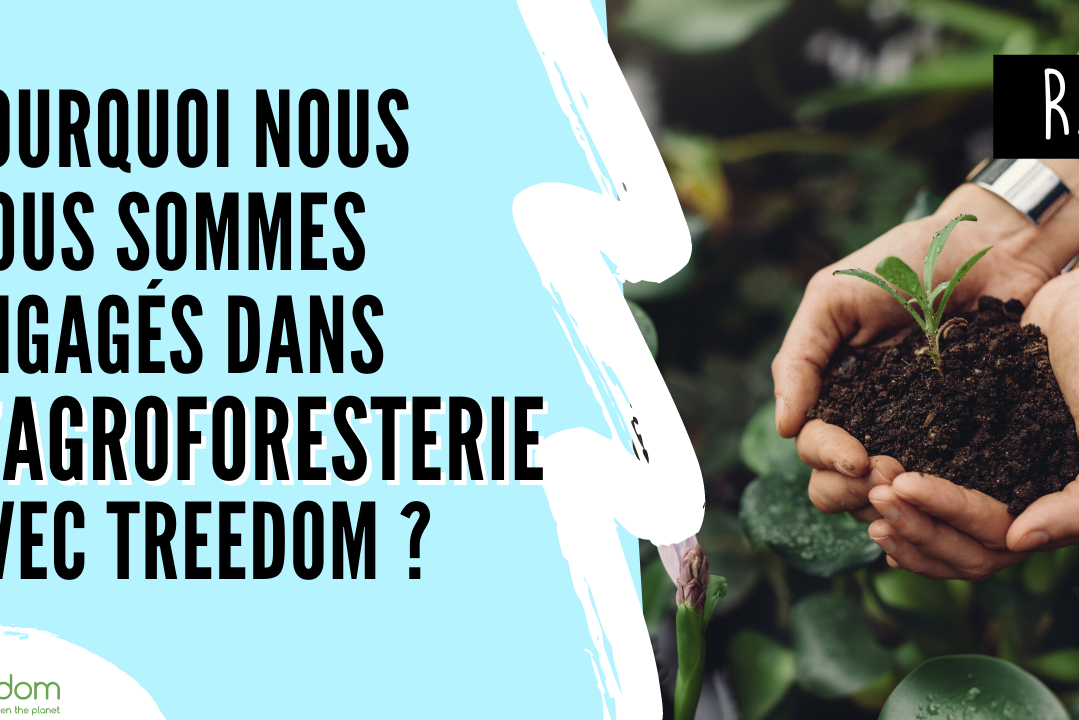 Pourquoi nous nous sommes engagés dans l'agroforesterie