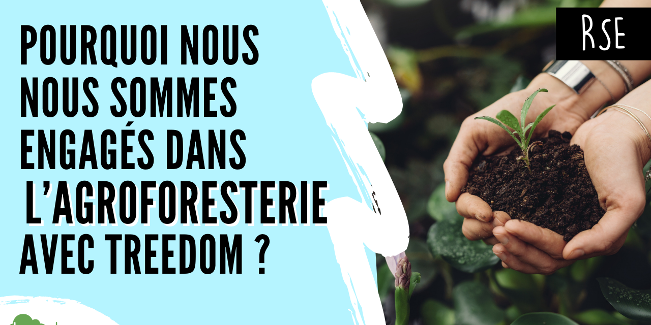 Pourquoi nous nous sommes engagés dans l’agroforesterie Pourquoi nous nous sommes engagés dans l'agroforesterie