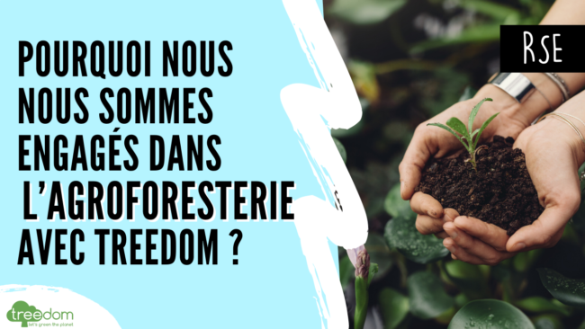 Pourquoi nous nous sommes engagés dans l'agroforesterie