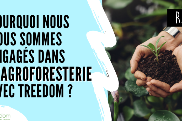 Pourquoi nous nous sommes engagés dans l’agroforesterie Pourquoi nous nous sommes engagés dans l'agroforesterie