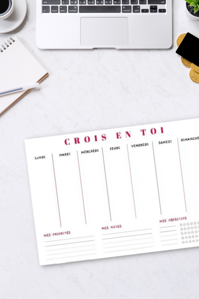 parcours professionnel